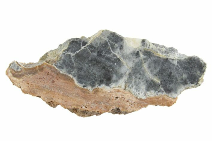 Lunar Meteorite ( g) Slice - Bechar #348189